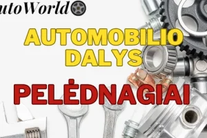 Automobilių Dalys – Pelėdnagiai