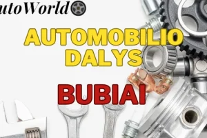 Automobilių Dalys – Bubiai