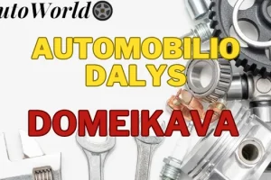 Automobilių Dalys – Domeikava