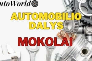 Automobilių Dalys – Mokolai