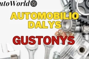 Automobilių Dalys – Gustonys