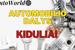 Automobilių Dalys – Kiduliai