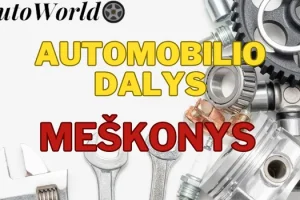 Automobilių Dalys – Meškonys