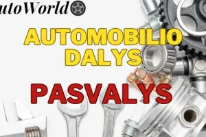 Automobilių Dalys – Pasvalys