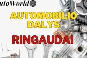 Automobilių Dalys – Ringaudai