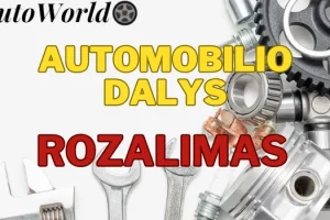 Automobilių Dalys – Rozalimas