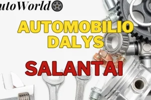 Automobilių Dalys – Salantai