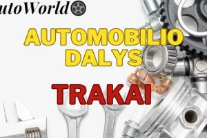 Automobilių Dalys – Trakai