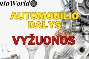 Automobilių Dalys – Vyžuonos